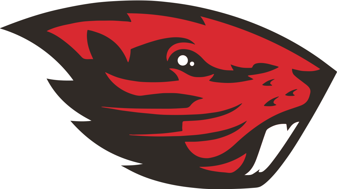 American Falls High School logo