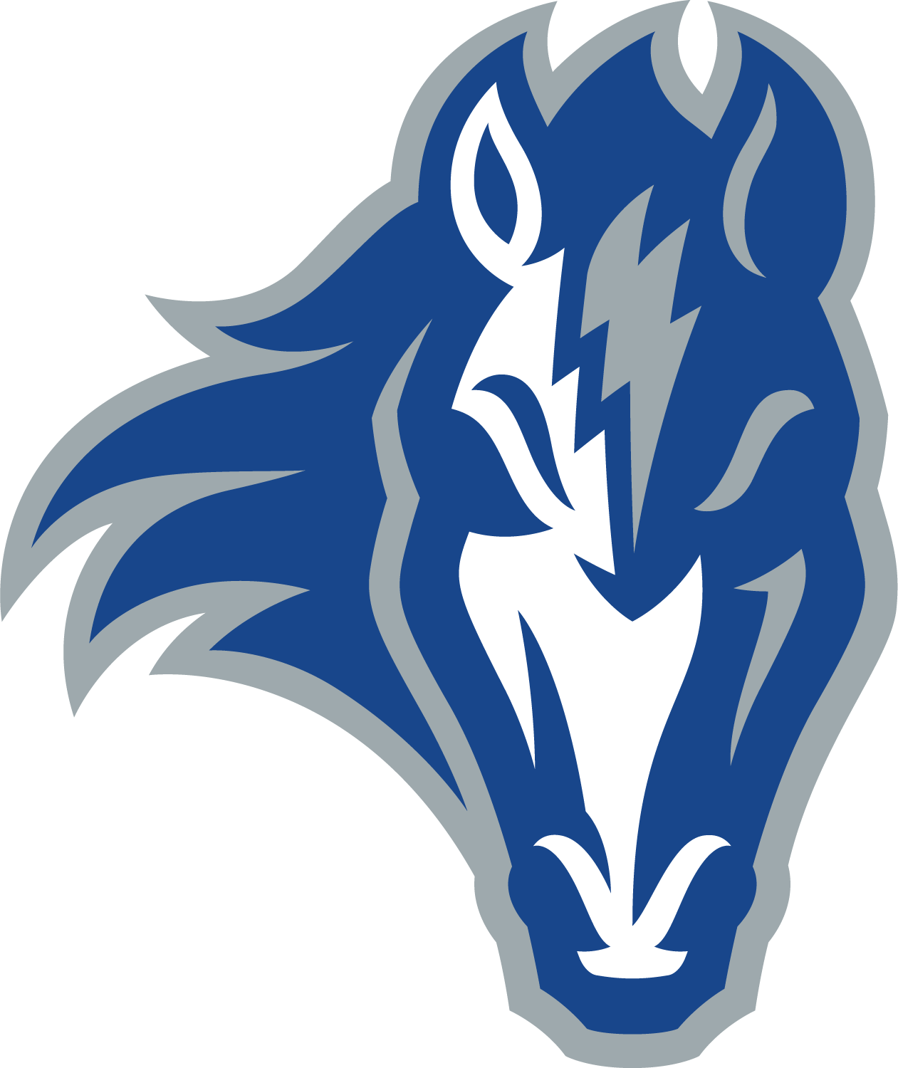 Cole Valley Christian High School